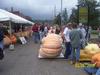 Pumpkins at Stillwater weigh-off