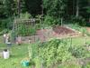 My Veggie garden