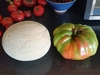 Colorado record tomato