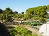 vegetables garden