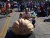 Hilger's Giant Pumpkin Weighoff