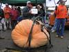 Michaud 905 at Frerichs Farm 2005