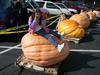 Catherine posing on dads pumpkin.