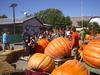 Hilger's Giant Pumpkin Weighoff