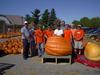 Hilger's Giant Pumpkin Weighoff