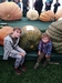 268 Baggs Field Pumpkin WR