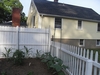 cherokee tomatoes and sunflowers