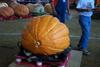 2002 Topsfield Fair - #69 - 386.6 lbs by Joseph Nicolella