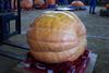 2002 Topsfield Fair - #36 - 629.6 lbs by Adam Wheeler