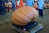 2002 Topsfield Fair - #14 - 815.4 lbs by Jim Ford