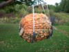 pumpkinpal2