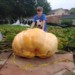 jerzeypumpkin1